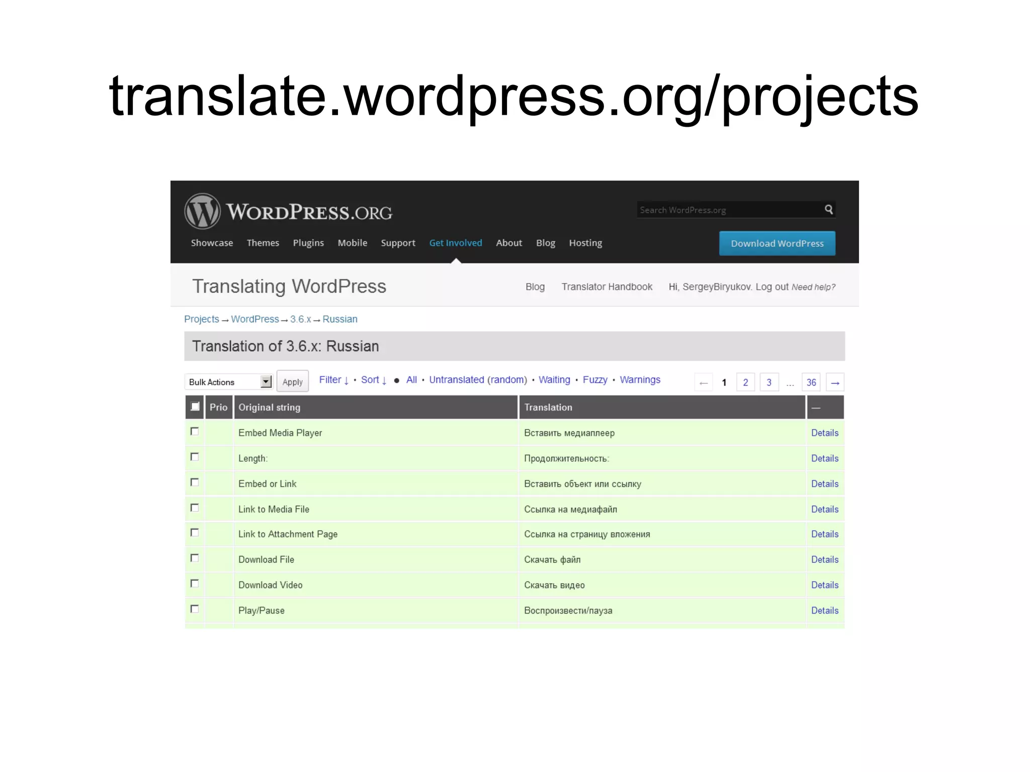 translate.wordpress.org/projects
 