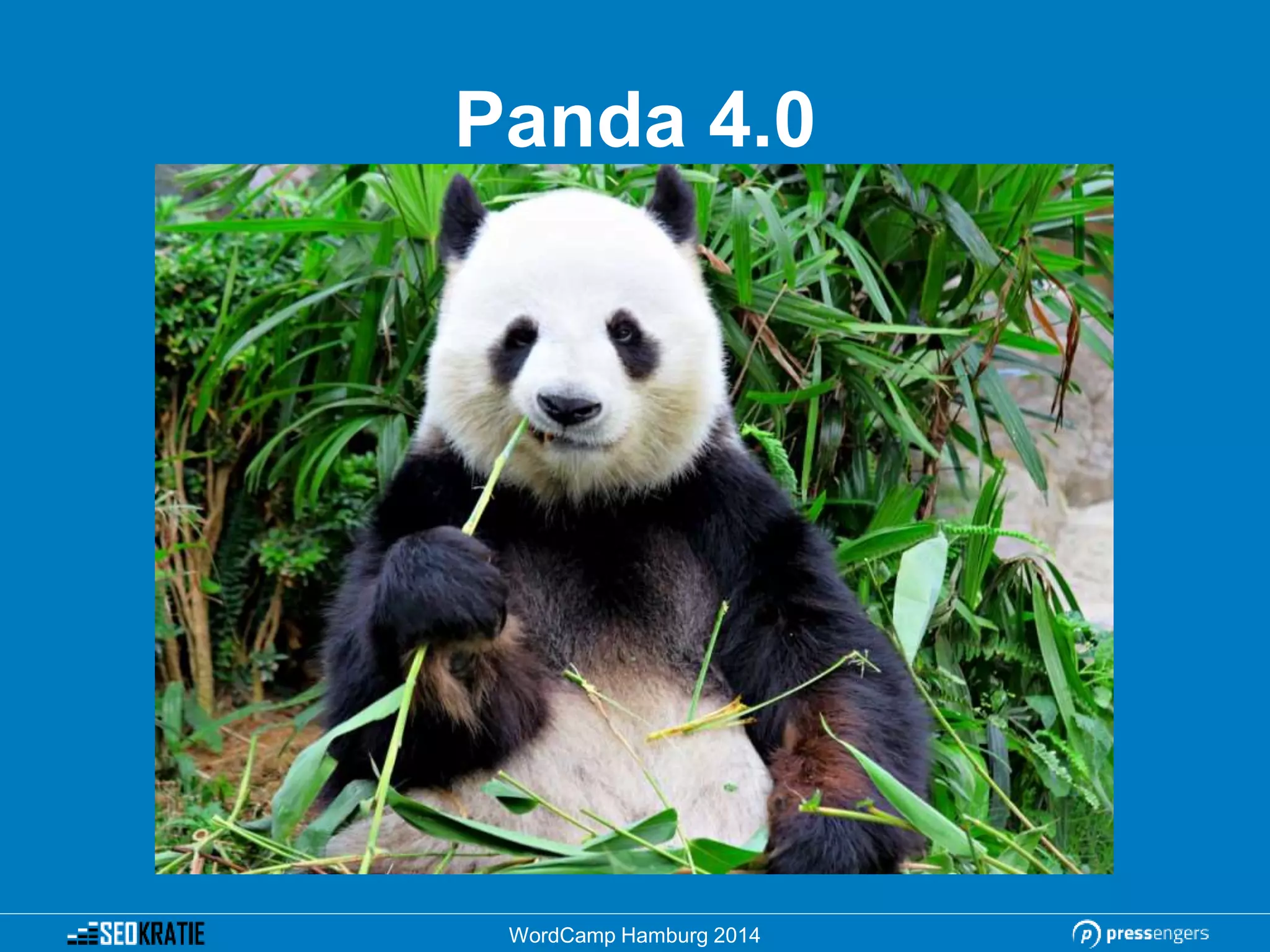 Panda 4.0
WordCamp Hamburg 2014
 