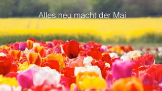 Alles neu macht der Mai
 