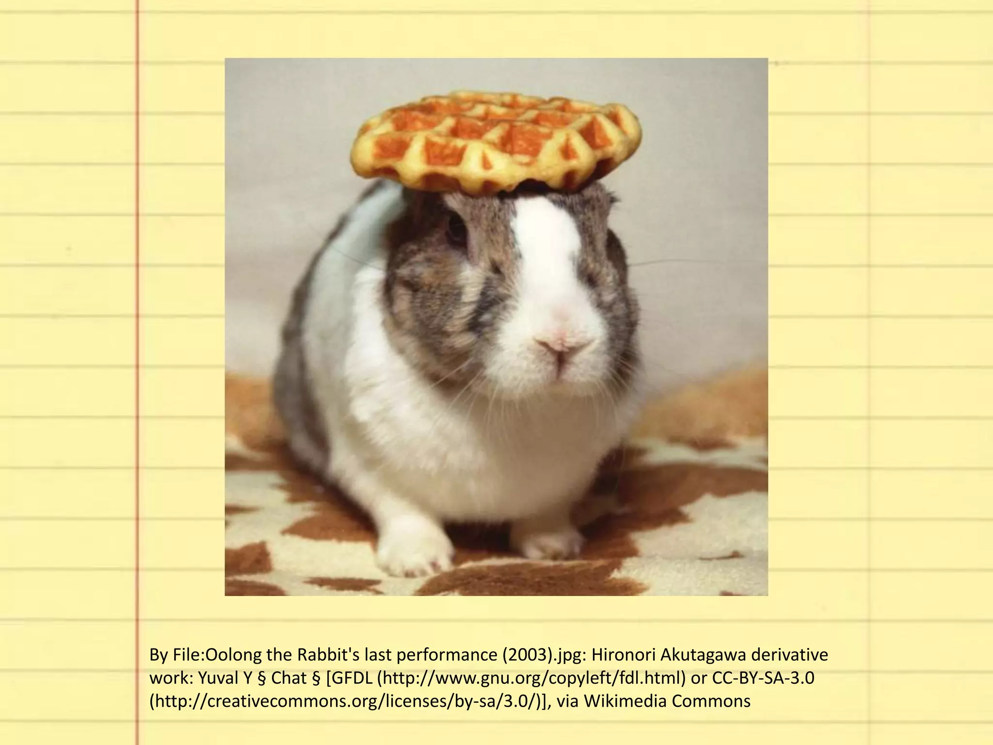 By File:Oolong the Rabbit's last performance (2003).jpg: Hironori Akutagawa derivative
work: Yuval Y § Chat § [GFDL (http://www.gnu.org/copyleft/fdl.html) or CC-BY-SA-3.0
(http://creativecommons.org/licenses/by-sa/3.0/)], via Wikimedia Commons
 