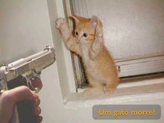 Um gato morre!
 