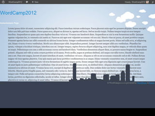 #iphone{
      height: 575px;
      width: 300px;
      background-image: url(iphone4frame.png);
      background-repeat: no-repeat;
      float: left;
}
 