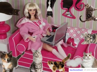 https://flic.kr/p/8XqJLK - with added cats by ME
 