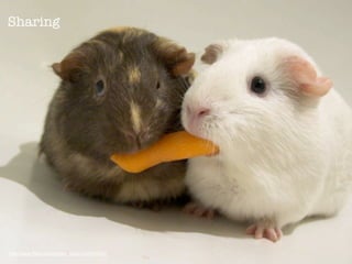 Sharing




http://www.flickr.com/photos/ryanr/142455033/
 