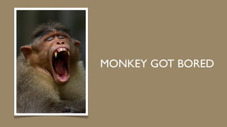 MONKEY GOT BORED
 