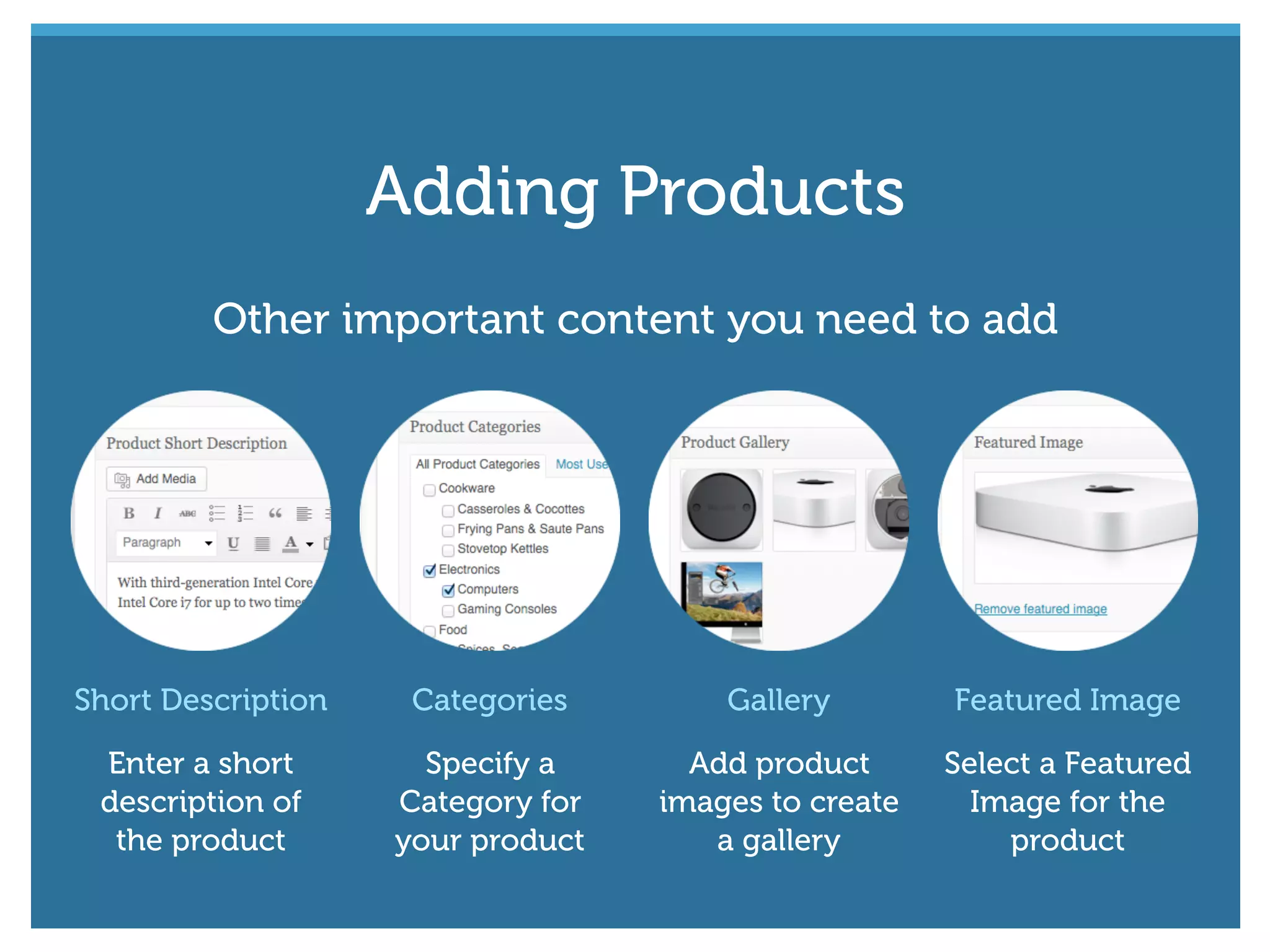 Short Description
Enter a short
description of
the product
Categories
Specify a
Category for
your product
Gallery
Add product
images to create
a gallery
Featured Image
Select a Featured
Image for the
product
Other important content you need to add
Adding Products
 
