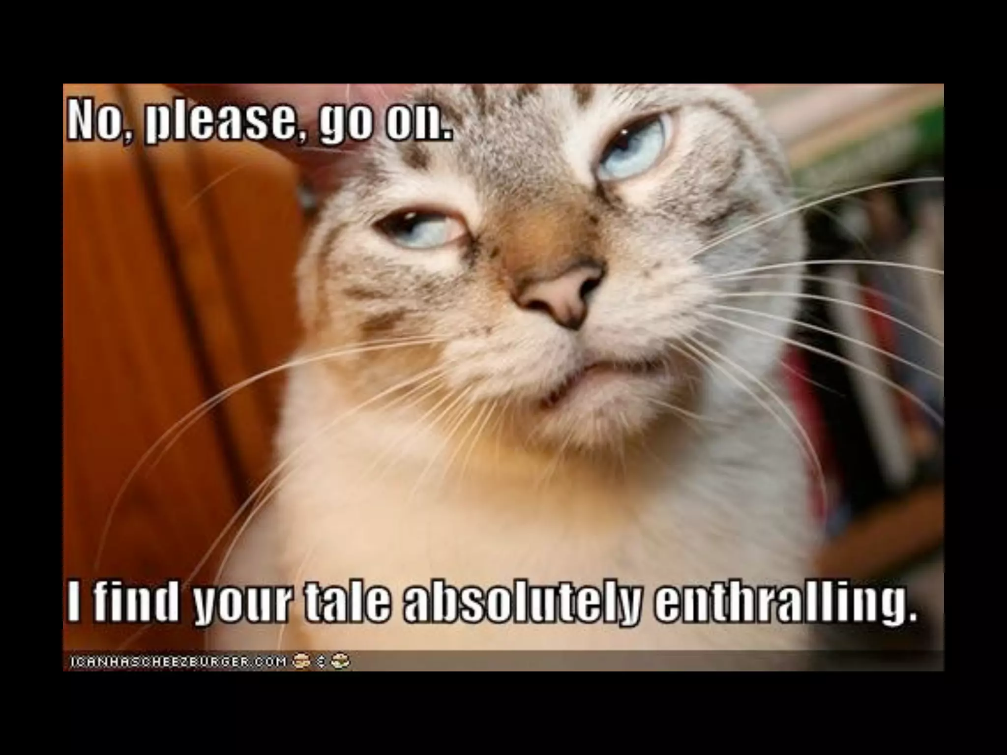 "State of the Word" at WordCamp Mid-Atlantic, by Mark Jaquith