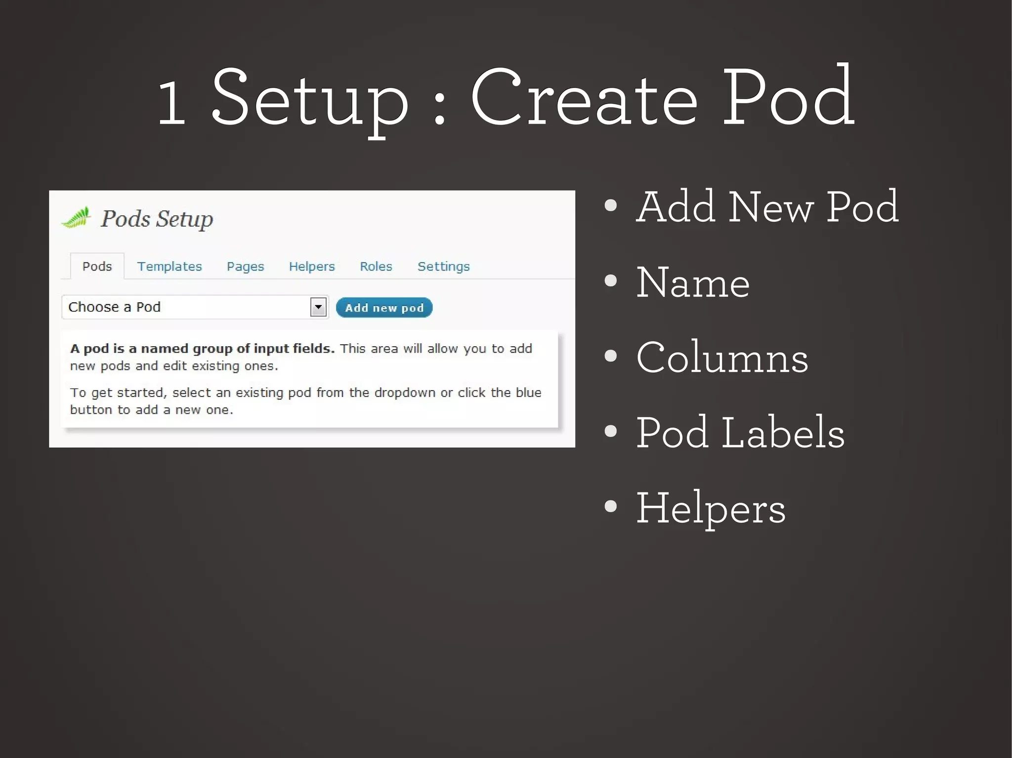1 Setup : Create Pod1 Setup : Create Pod
●
Add New Pod
● Name
●
Columns
●
Pod Labels
●
Helpers
 