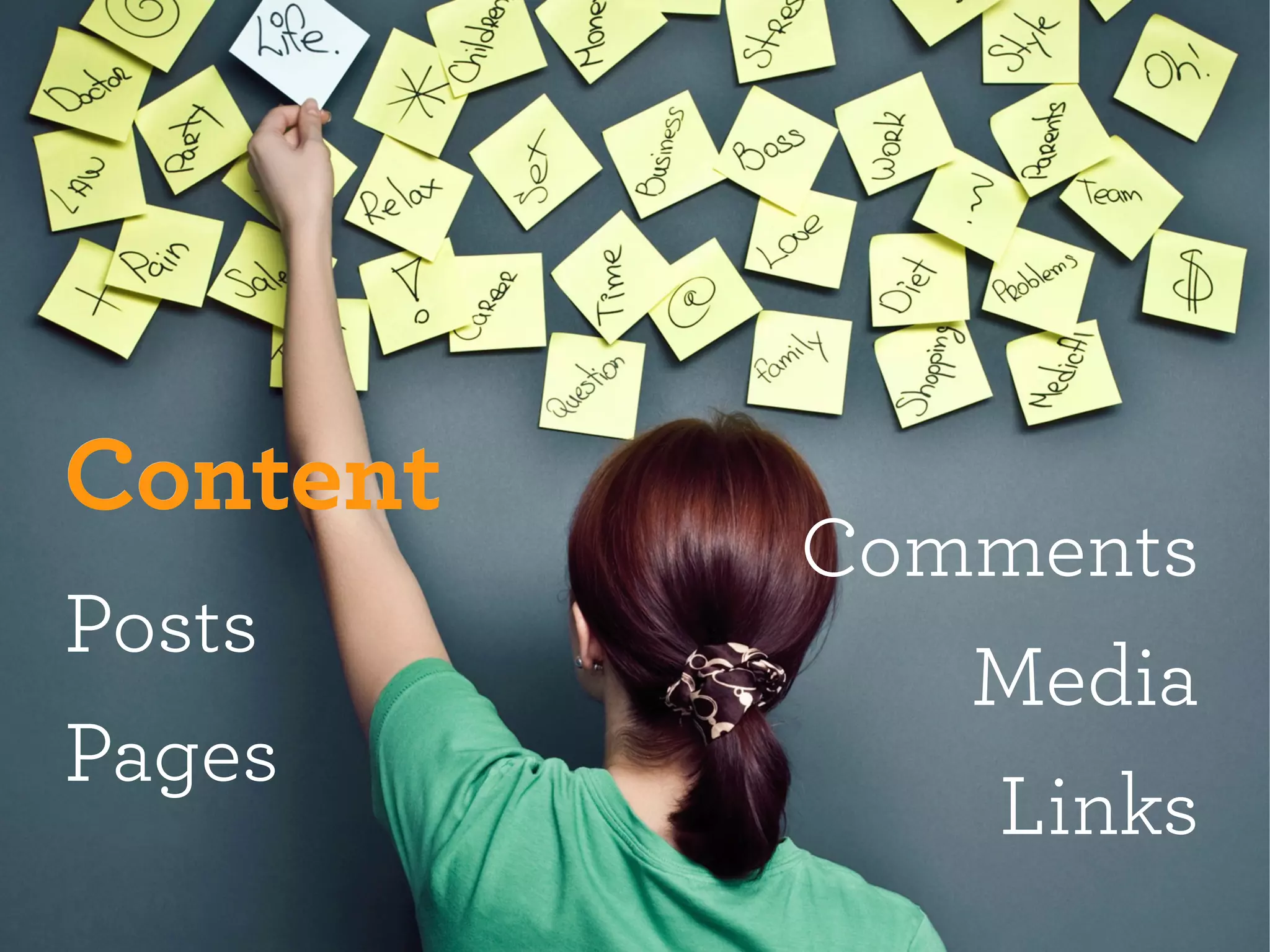ContentContent
Posts
Pages
Comments
Media
Links
 