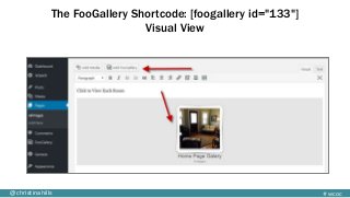 #wcoc@christinahills
The FooGallery Shortcode: [foogallery id="133"]
Visual View
 