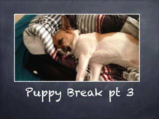 Puppy Break pt 3

 