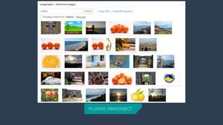 PLUGINS: IMAGEINJECT  