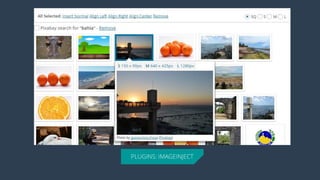 PLUGINS: IMAGEINJECT  