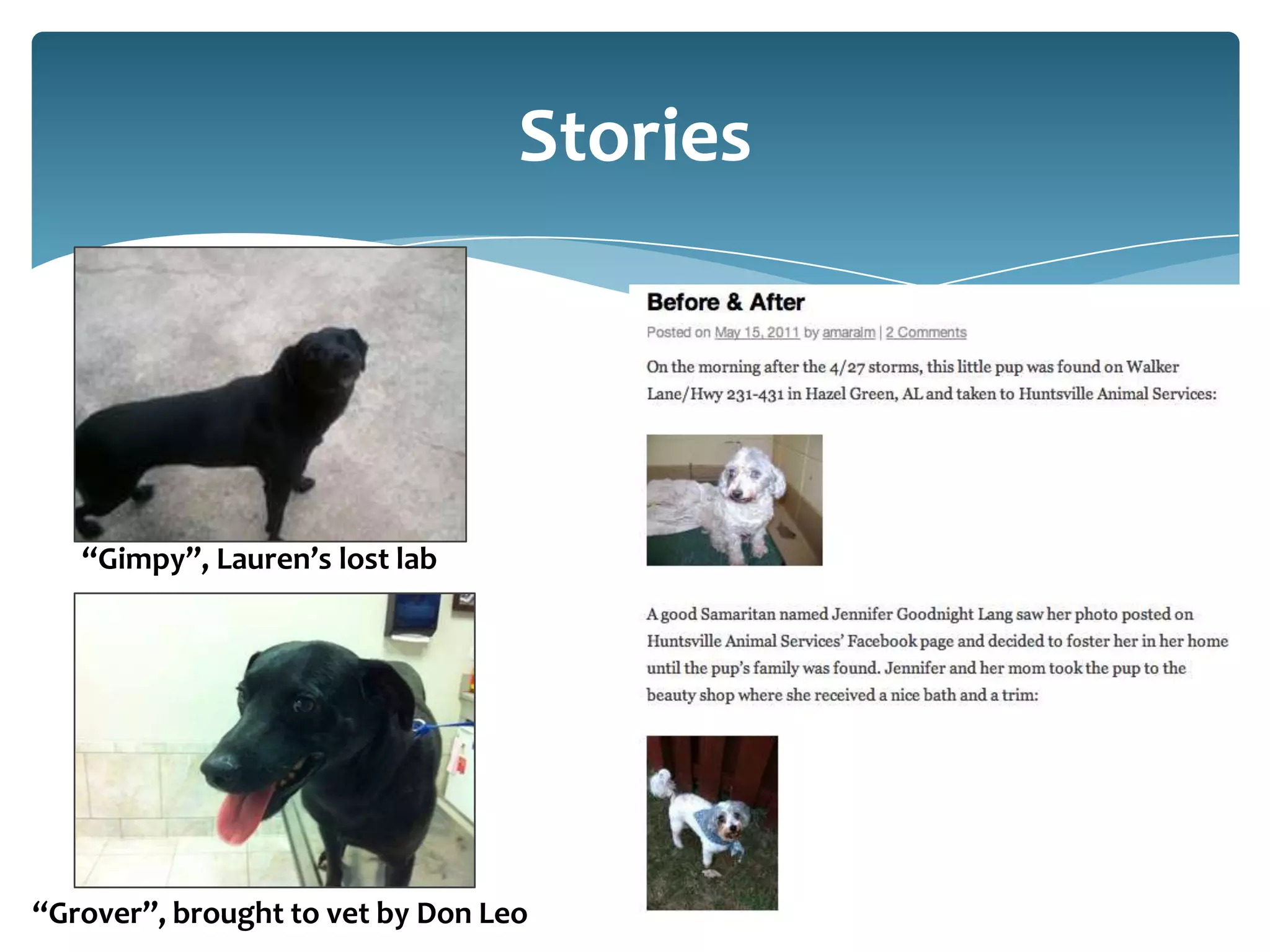Stories




   “Gimpy”, Lauren’s lost lab




“Grover”, brought to vet by Don Leo
 