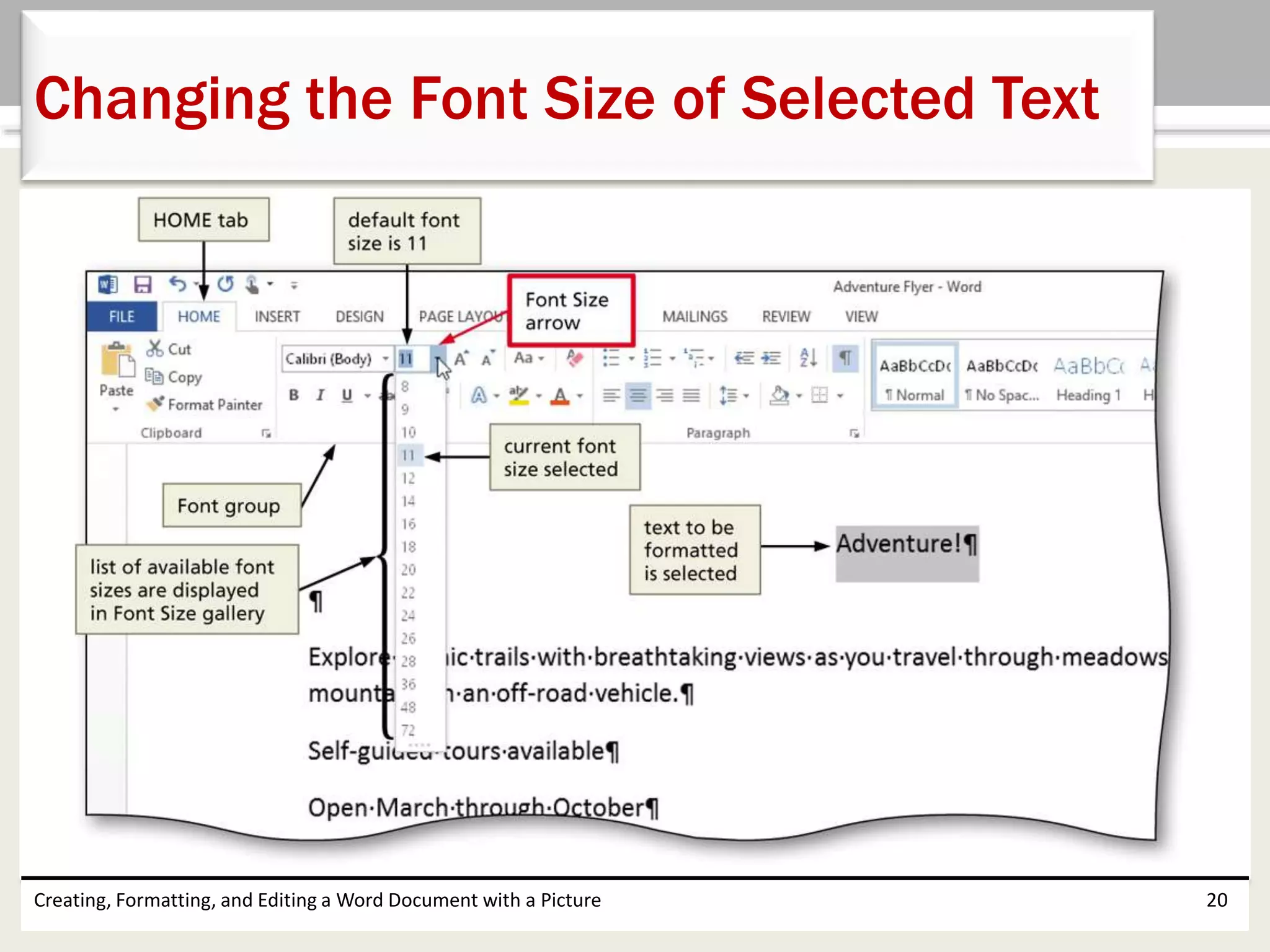 Creating, Formatting, and Editing a Word Document with a Picture 20
Changing the Font Size of Selected Text
 