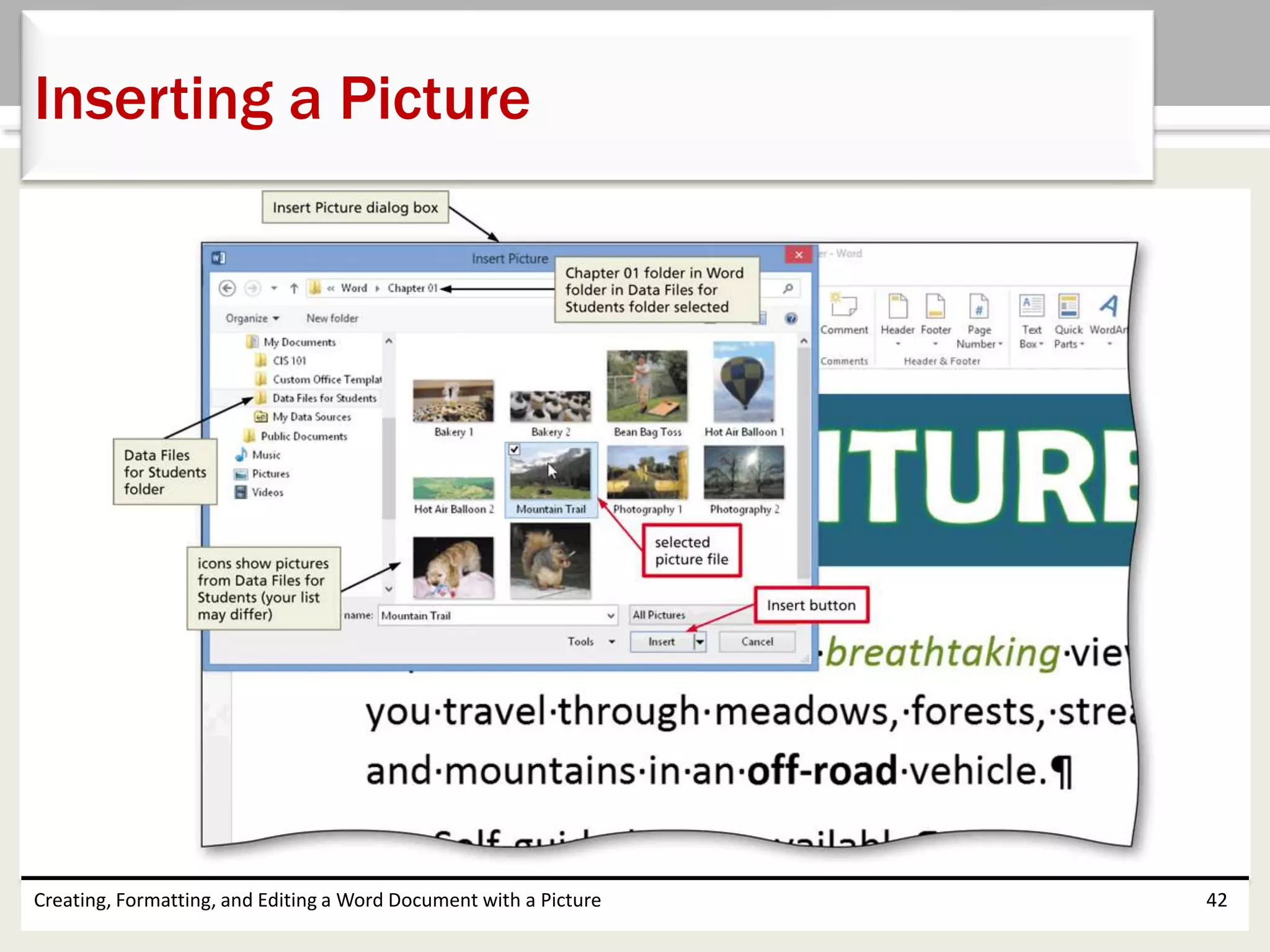 Creating, Formatting, and Editing a Word Document with a Picture 42
Inserting a Picture
 