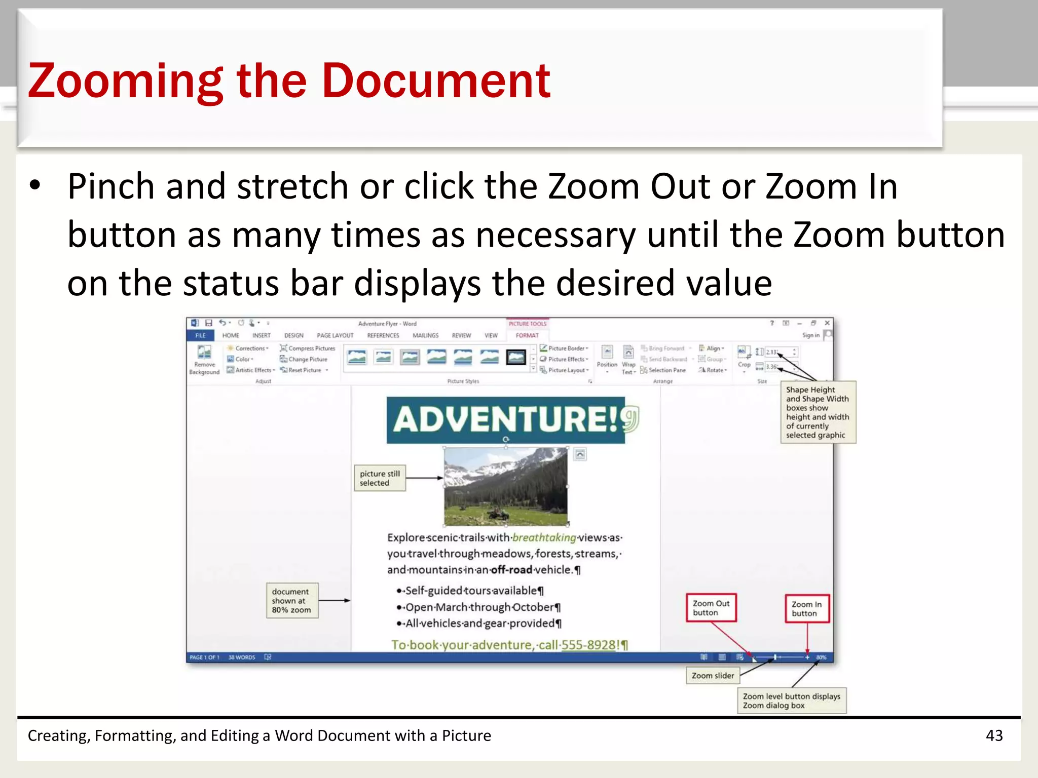 • Pinch and stretch or click the Zoom Out or Zoom In
button as many times as necessary until the Zoom button
on the status bar displays the desired value
Creating, Formatting, and Editing a Word Document with a Picture 43
Zooming the Document
 