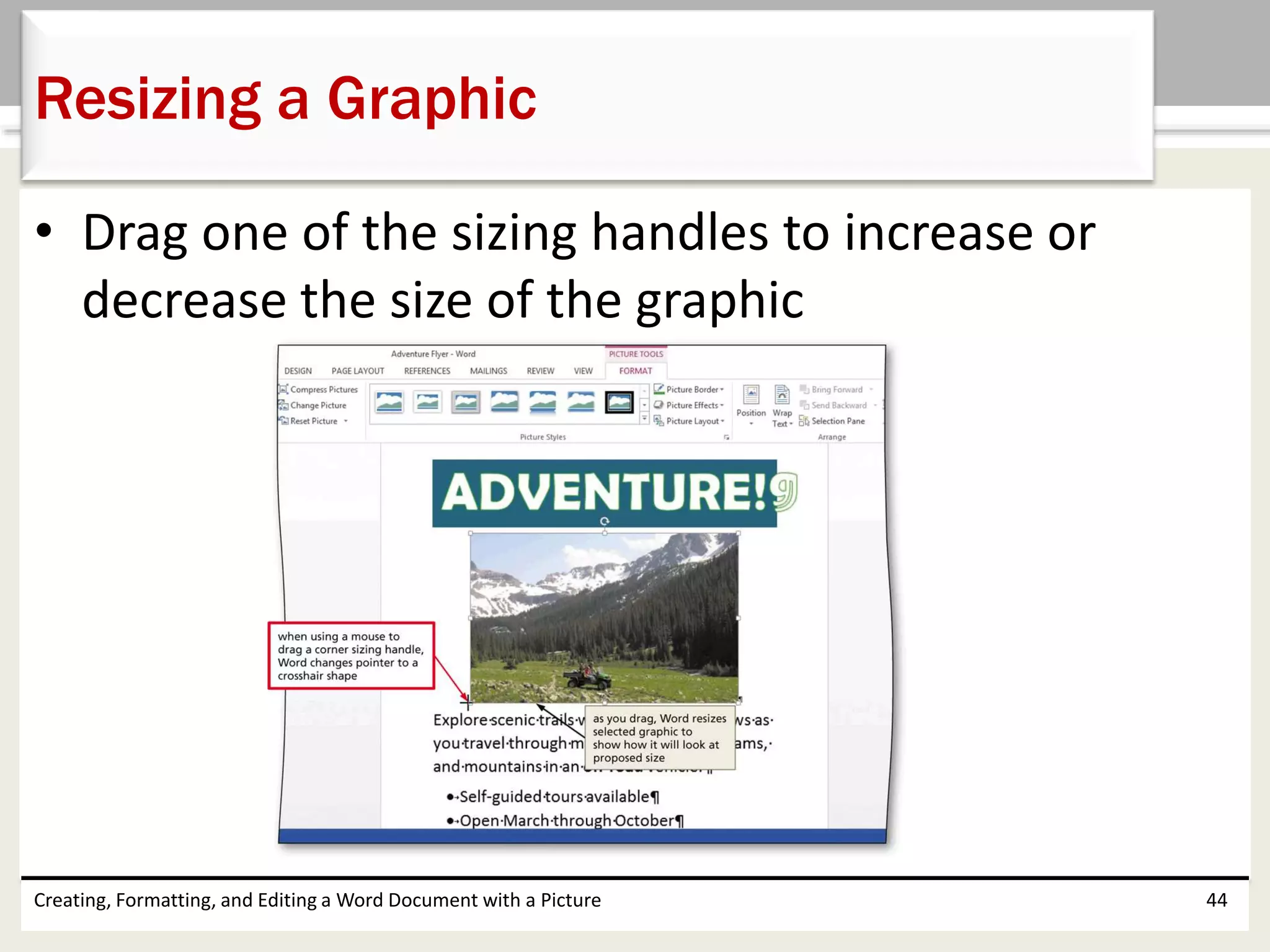 • Drag one of the sizing handles to increase or
decrease the size of the graphic
Creating, Formatting, and Editing a Word Document with a Picture 44
Resizing a Graphic
 