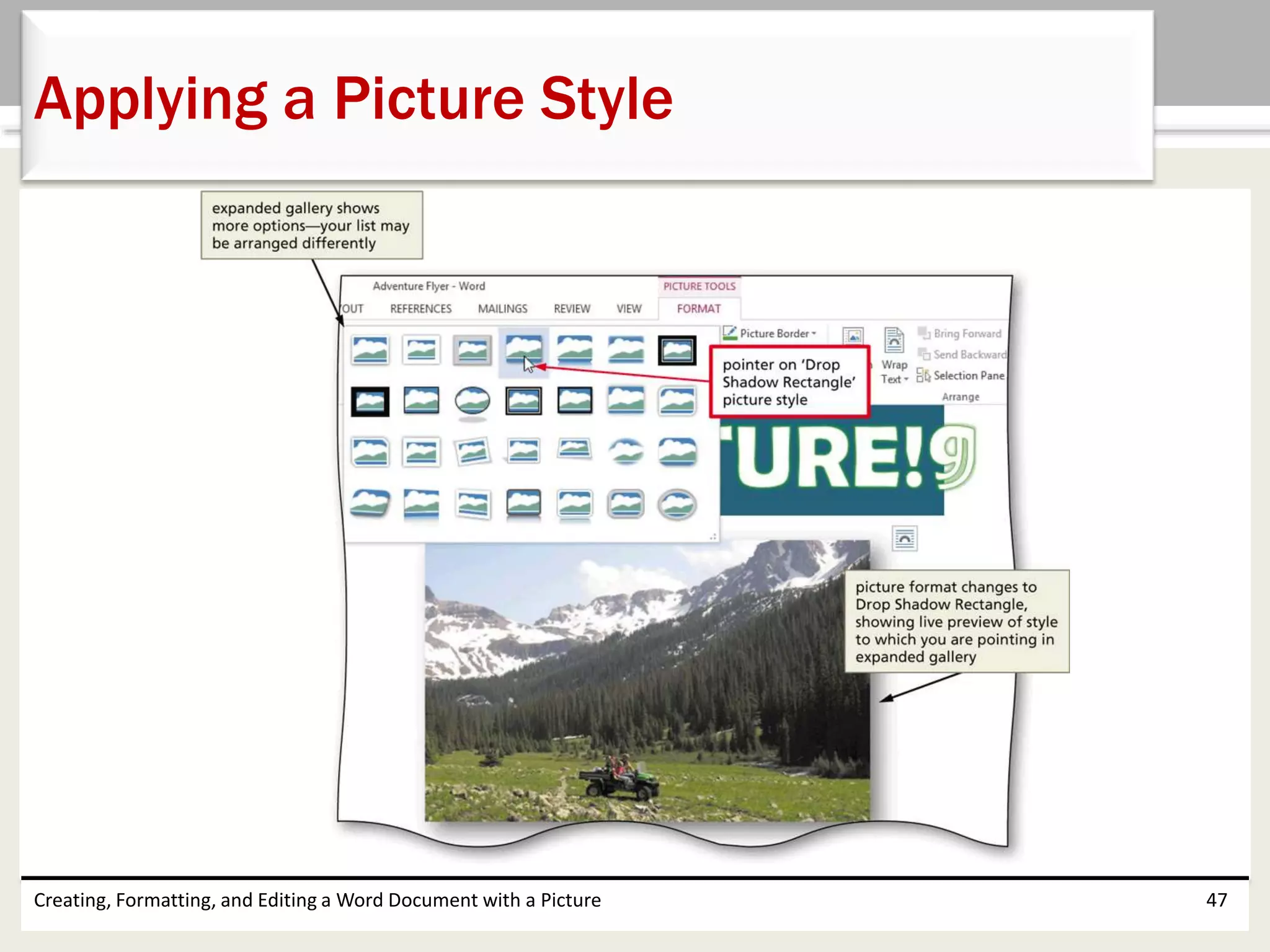 Creating, Formatting, and Editing a Word Document with a Picture 47
Applying a Picture Style
 