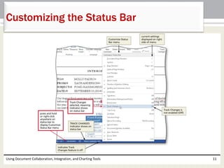 Customizing the Status Bar 
Using Document Collaboration, Integration, and Charting Tools 11 
 