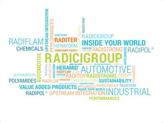 RadiciGroup Wordcloud 