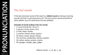 phonatics Course Consnants Word Endings.pdf
