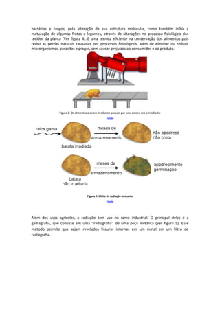 bactérias e fungos, pela alteração de sua estrutura molecular, como também inibir a
maturação de algumas frutas e legumes, através de alterações no processo fisiológico dos
tecidos da planta (Ver figura 4). E uma técnica eficiente na conservação dos alimentos pois
reduz as perdas naturais causadas por processos fisiológicos, além de eliminar ou reduzir
microrganismos, parasitas e pragas, sem causar prejuízos ao consumidor e ao produto.
Figura 3: Os alimentos a serem irradiados passam por uma esteira sob o irradiador
Fonte
Figura 4: Efeito da radiação ionizante
Fonte
Além dos usos agrícolas, a radiação tem uso no ramo industrial. O principal deles é a
gamagrafia, que consiste em uma ‘’radiografia’’ de uma peça metálica (Ver figura 5). Esse
método permite que sejam revelados fissuras internas em um metal em um filtro de
radiografia.
 