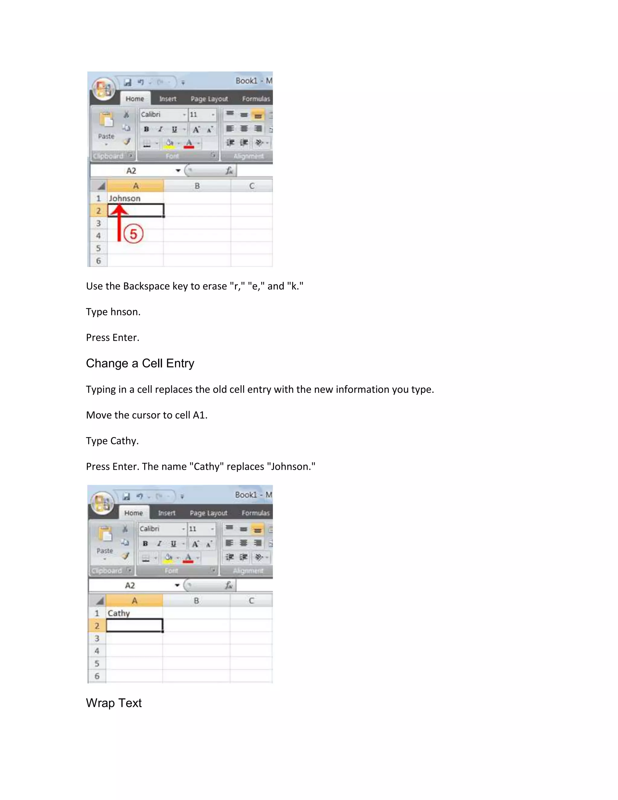 Use the Backspace key to erase "r," "e," and "k."

Type hnson.

Press Enter.

Change a Cell Entry

Typing in a cell replaces the old cell entry with the new information you type.

Move the cursor to cell A1.

Type Cathy.

Press Enter. The name "Cathy" replaces "Johnson."




Wrap Text
 