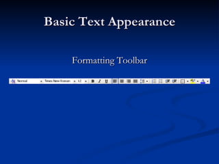 Basic Text Appearance Formatting Toolbar 