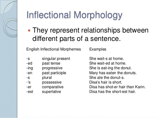 morphology affix and word How to describe an affix: some examples from derivational morphology:-ation is added to a verb or root (finalize, anim-) to give a noun (finalization, animation. morphology affix and word How to describe an affix: some examples from derivational morphology:-ation is added to a verb or root (finalize, anim-) to give a noun (finalization, animation.