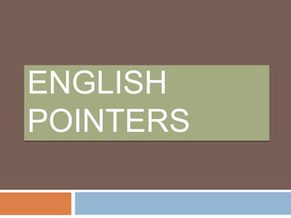 ENGLISH
POINTERS

 