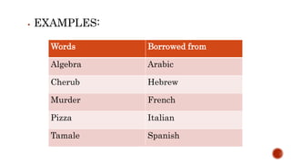  EXAMPLES:
Words Borrowed from
Algebra Arabic
Cherub Hebrew
Murder French
Pizza Italian
Tamale Spanish
 