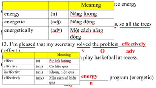 11. Scientists look for an ___________ way to reduce energy
consumption.( effect)
12. We have used _____________ planting methods, so all the trees
died. ( effect )
13. I’m pleased that my secretary solved the problem__________
( effect )
14. The ___________ students often play basketball at recess.
( energy)
15. They need an advanced solar ____________ program.(energetic)
n
adj
effective
n
adj
ineffective
v O adv
effectively
n
energetic
adj
adj n
energy
 
