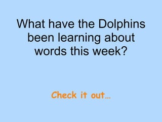 What have the Dolphins been learning about words this week? Check it out… 