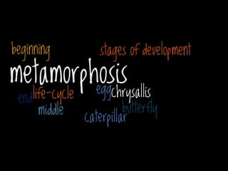 Wordle examples | PPT