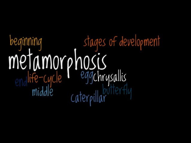 Wordle Examples PPTX