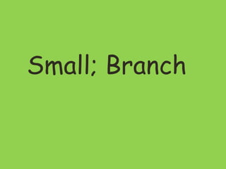 Small; Branch
 