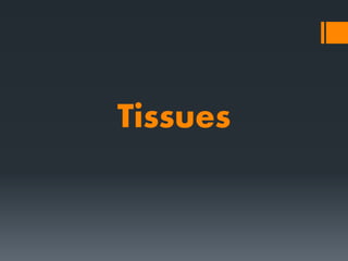 Tissues
 