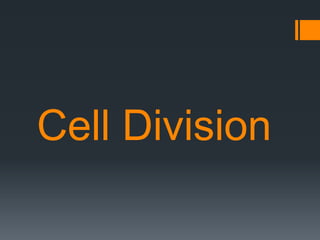 Cell Division