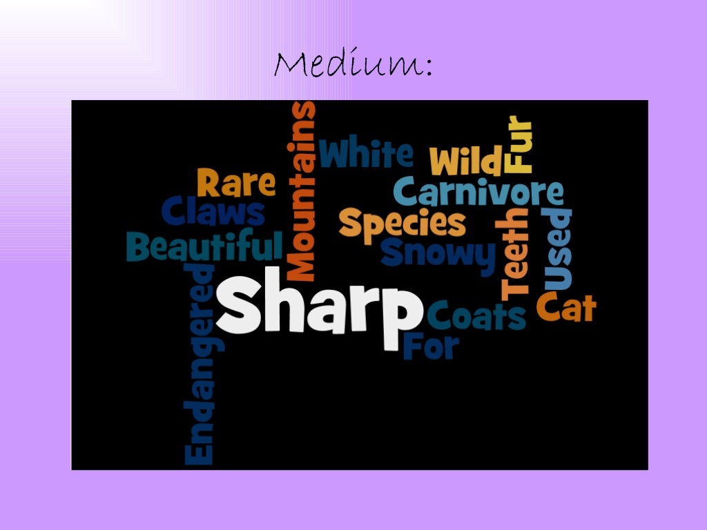 Wordle show