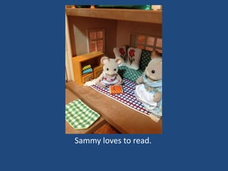 Sammy loves to read.
 