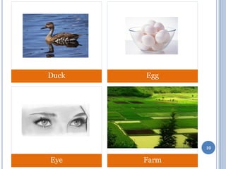 Duck

Egg

10

Eye

Farm

 