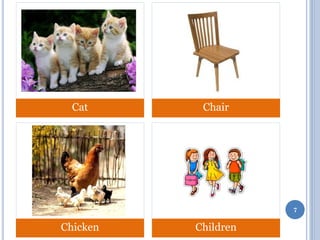 Cat

Chair

7

Chicken

Children

 