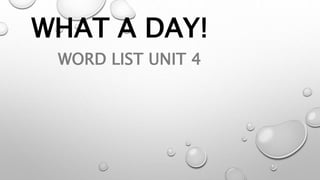 WHAT A DAY!
WORD LIST UNIT 4
 