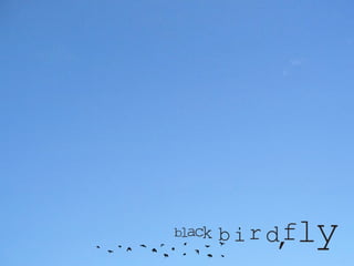 Wordmark