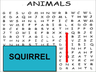 SQUIRRELSQUIRREL
 