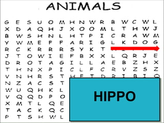 HIPPOHIPPO
 