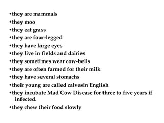 •they are mammals
•they moo
•they eat grass
•they are four-legged
•they have large eyes
•they live in fields and dairies
•they sometimes wear cow-bells
•they are often farmed for their milk
•they have several stomachs
•their young are called calvesin English
•they incubate Mad Cow Disease for three to five years if
infected.
•they chew their food slowly
 