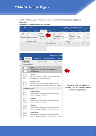 3. Para los Saltos de página colocamos el cursor en la última línea de la última página de
la sección.
4. Luego hacer click en Formato opción saltos.
Luego hacer click en página, y
numerar cada sección como si fuera
un Word independiente.
TEMA 04: Salto de Página
 