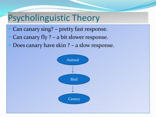 Psycholinguistic Theory
 Can canary sing? – pretty fast response.
 Can canary fly ? – a bit slower response.
 Does canary have skin ? – a slow response.
Animal

Bird

Canary

 